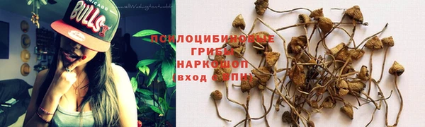 амф Кукмор