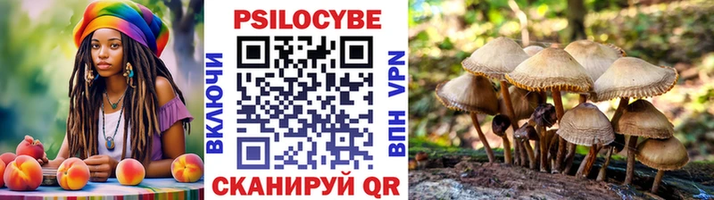 Псилоцибиновые грибы Cubensis  Кировград 